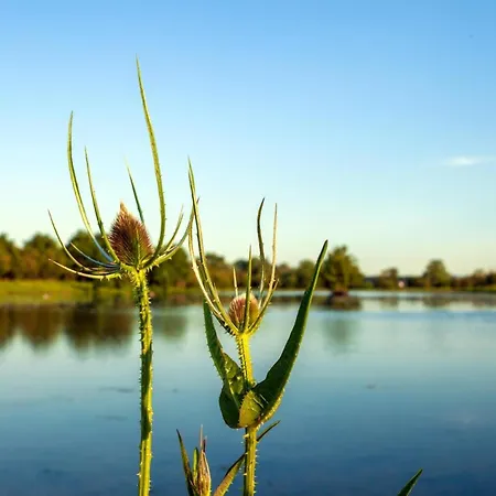 8p 3b Charming Near Maastricht