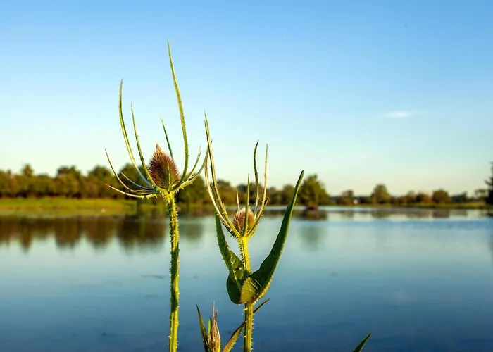 8p 3b Charming Near Maastricht